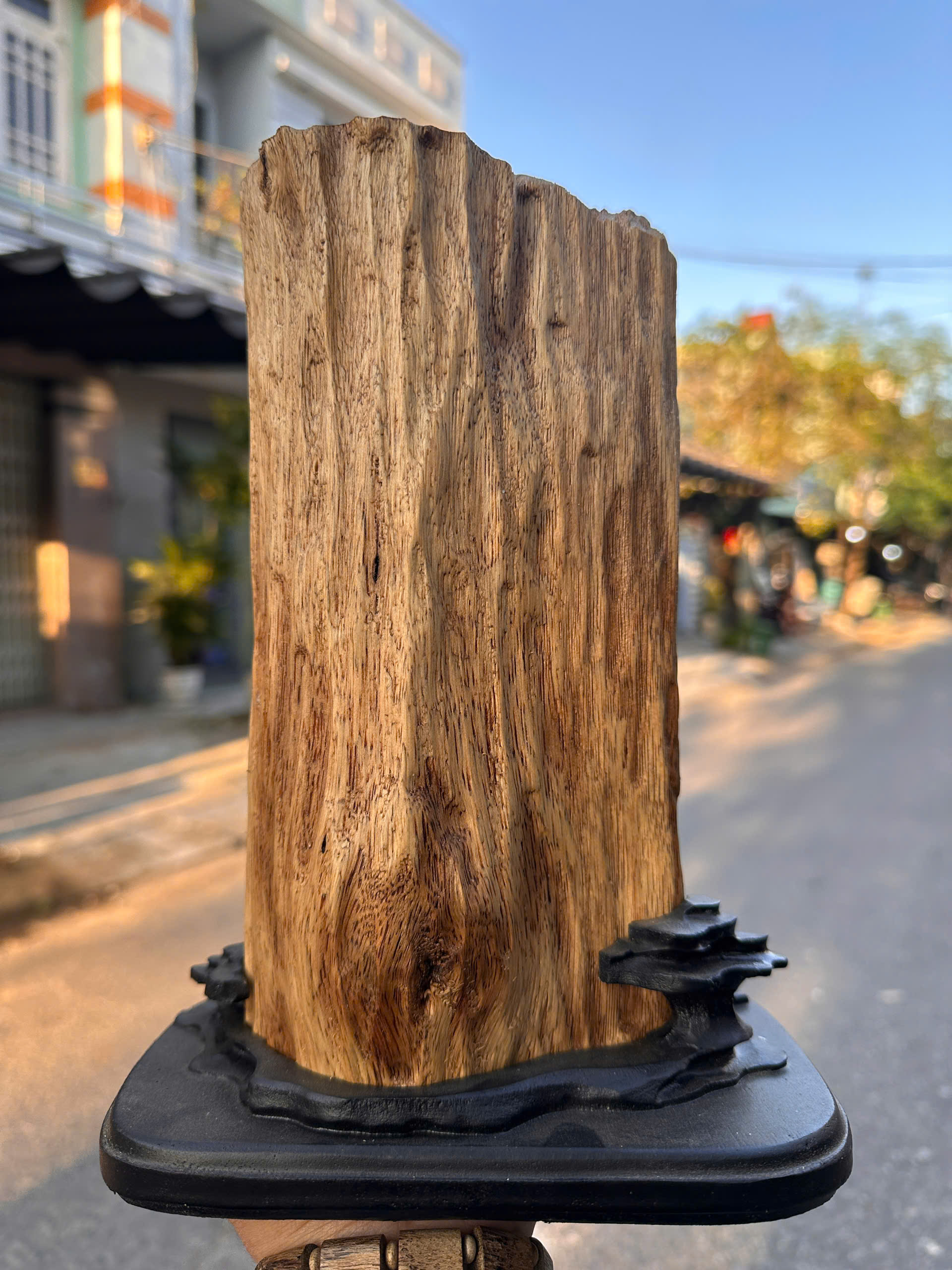 Bức Tượng Ngài Di Lặc  trầm Kiến tự nhiên